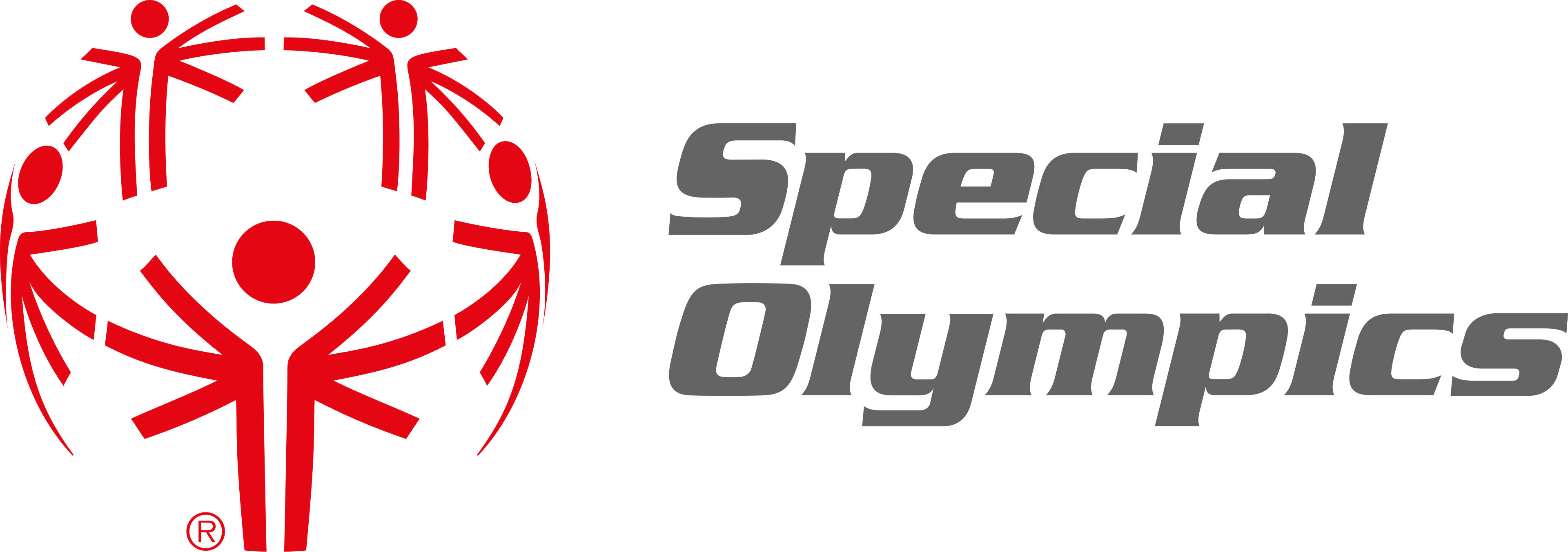 Special Olympics World Winter Games